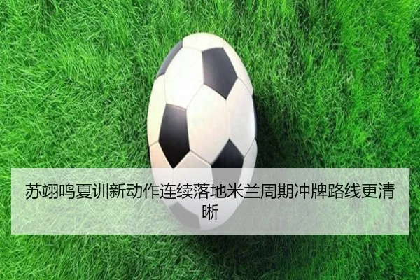 苏翊鸣夏训新动作连续落地米兰周期冲牌路线更清晰