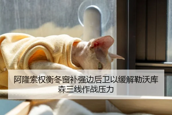 阿隆索权衡冬窗补强边后卫以缓解勒沃库森三线作战压力